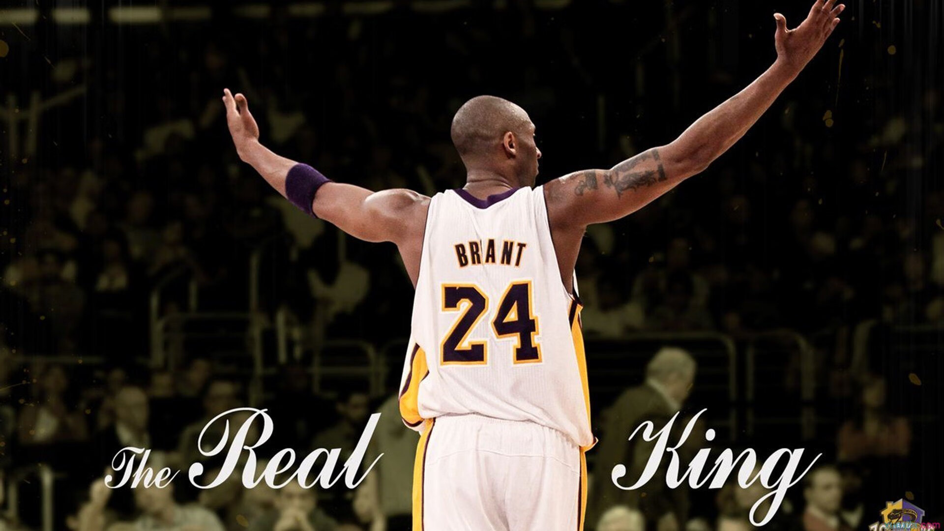 体育场馆节能管理创新技术，体育场馆节能管理创新技术方案