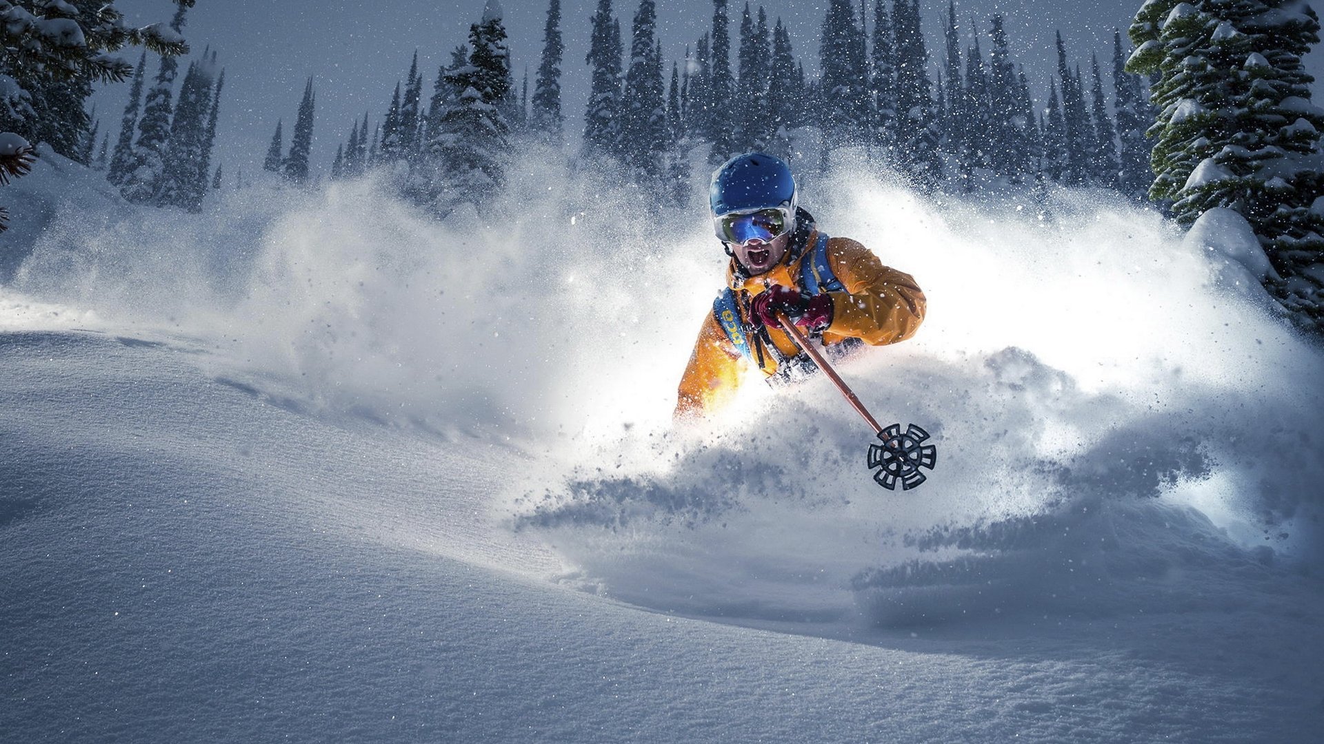世界短道速滑青少年体能训练APP上线体验报告，世界短道速滑2021